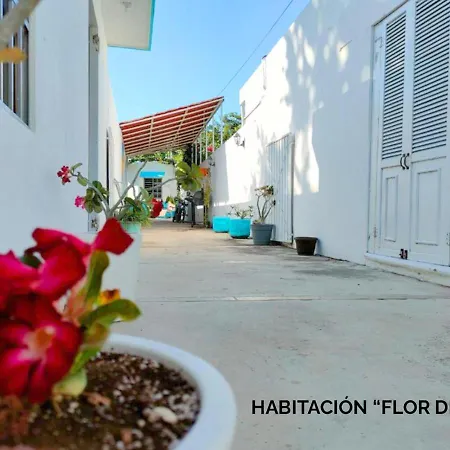 Departamentos Ileana Apartment Cozumel Exterior photo
