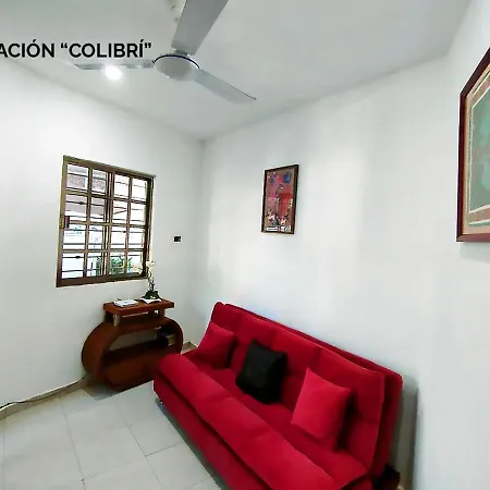 Departamentos Ileana Apartment Cozumel Room photo